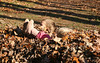 SmugMug > all-time keyword > are > Erik's Gallery photo